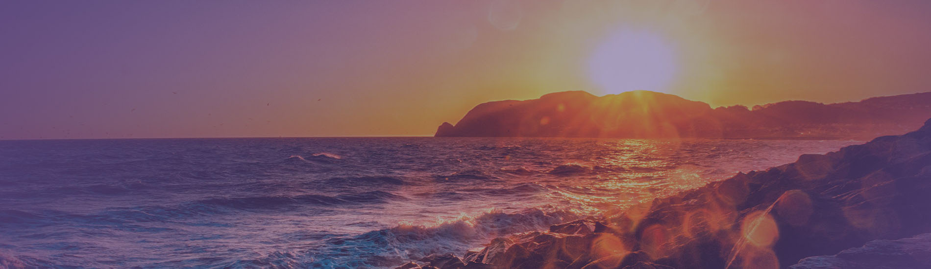 �й������ϵľ�����35222vip(�ɷ�)���޹�˾